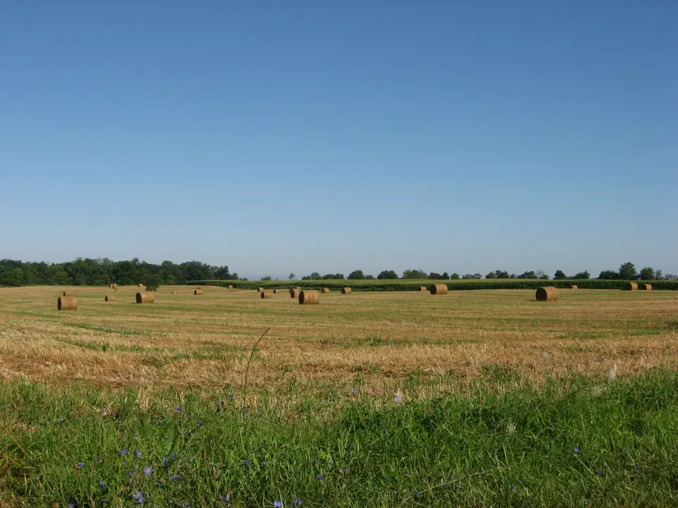 Pickaway County