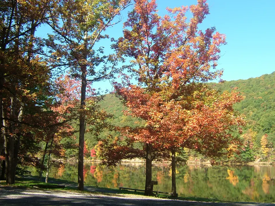 Centre County