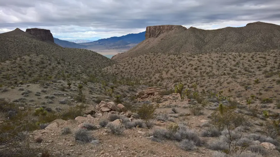Mohave County