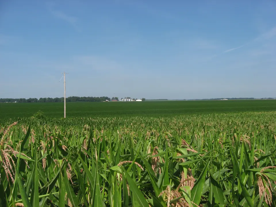 Auglaize County