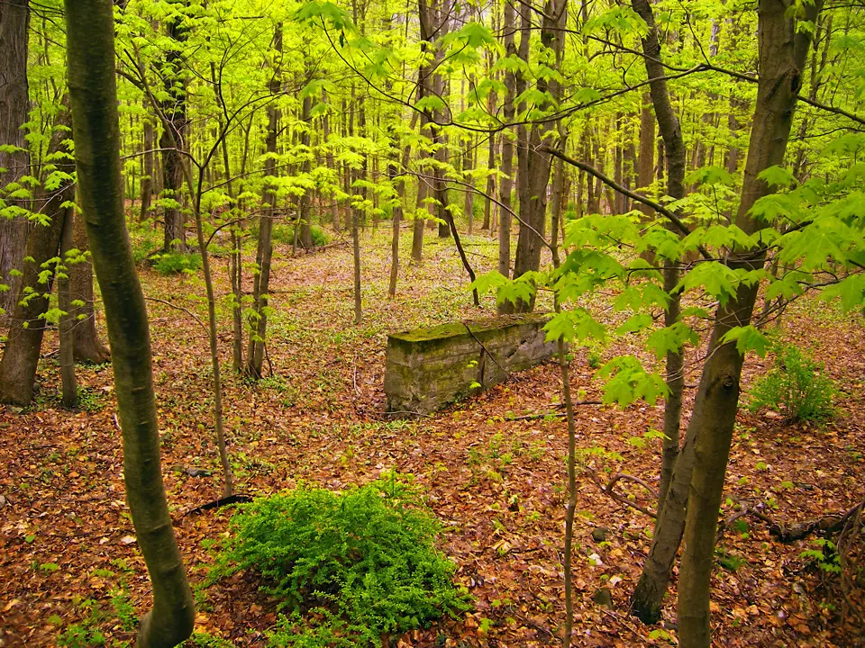 Pike County