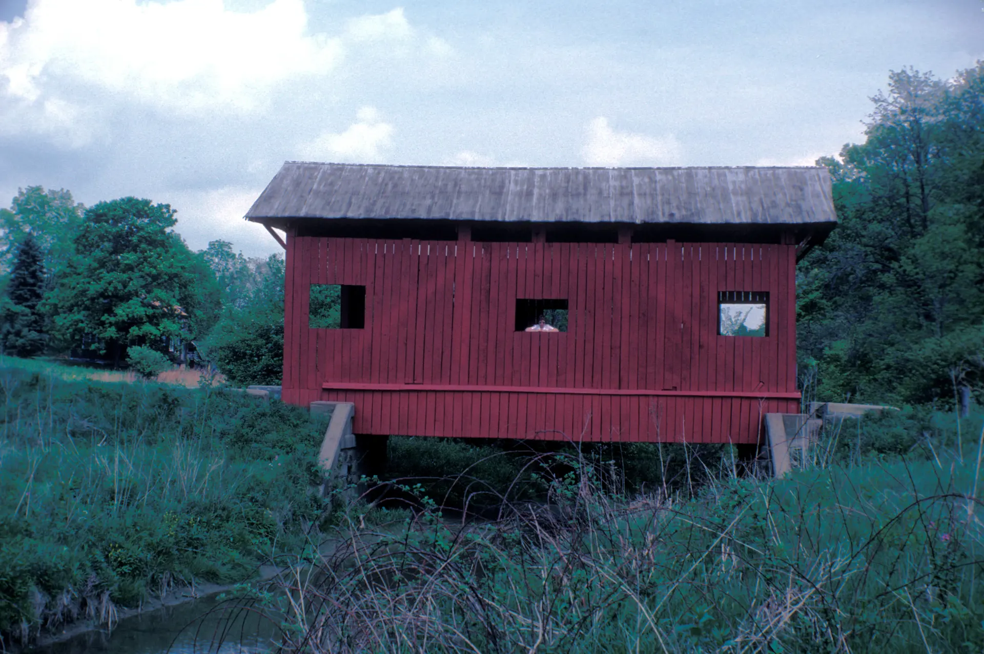 Cross Creek