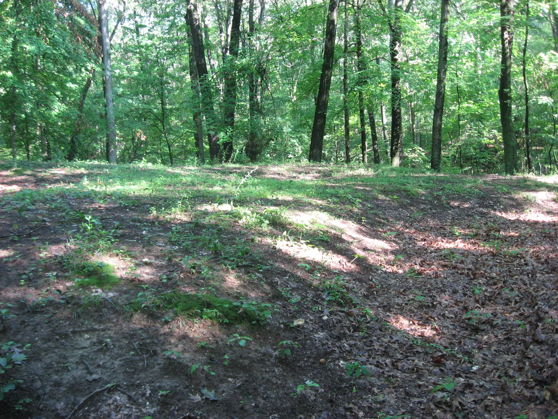 Clearcreek