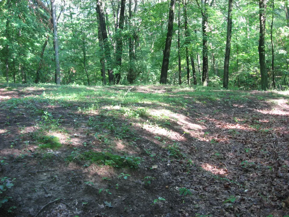 Fairfield County