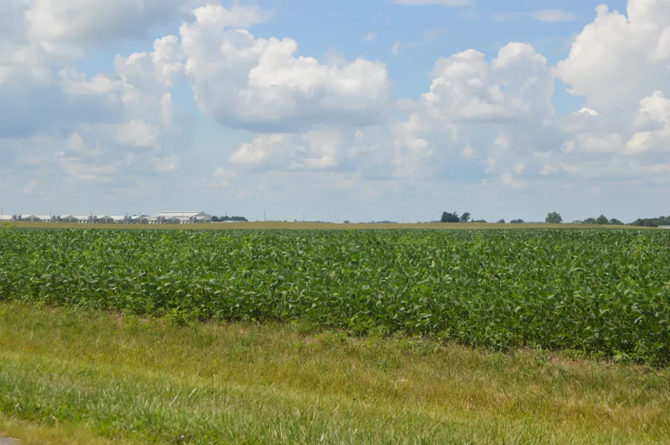 Licking County