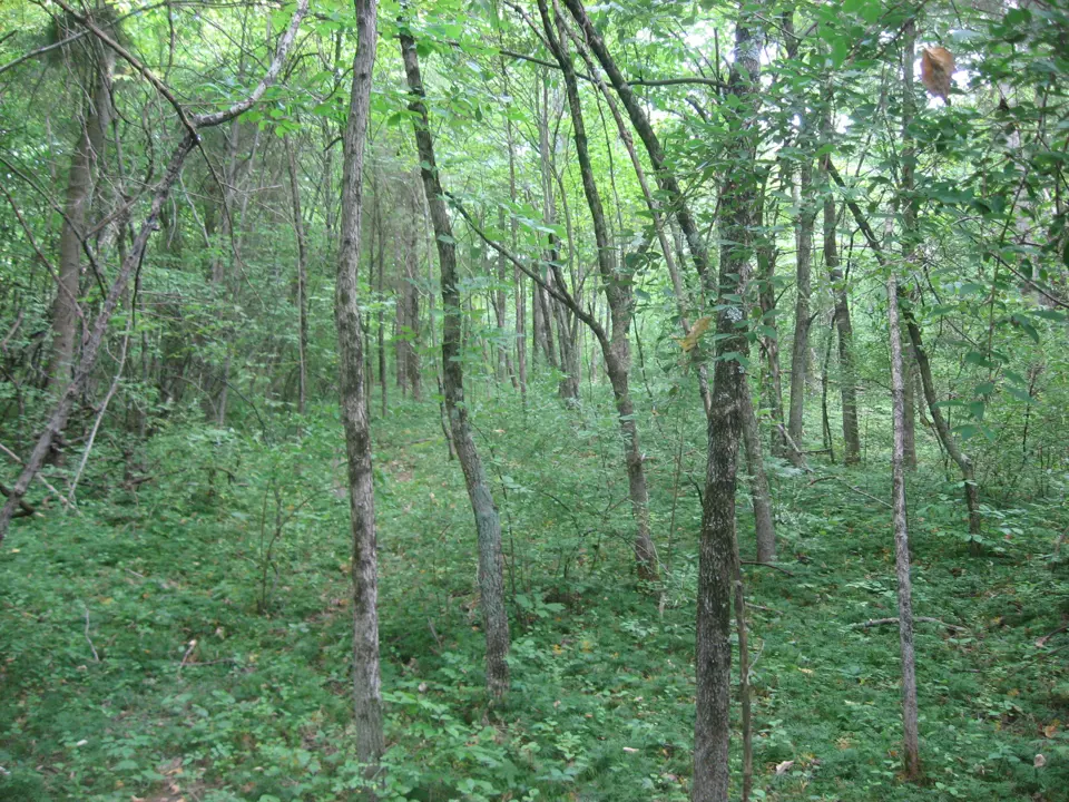 Clinton County