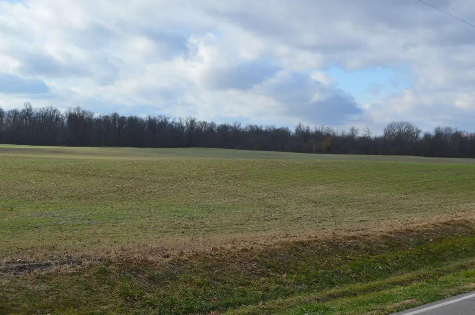 Fulton County