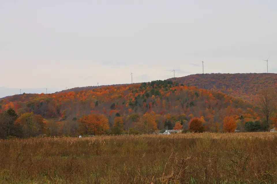 Wyoming County