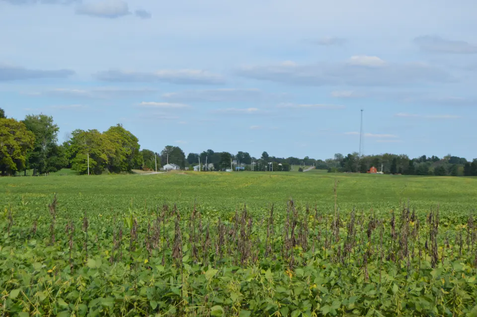 Morrow County