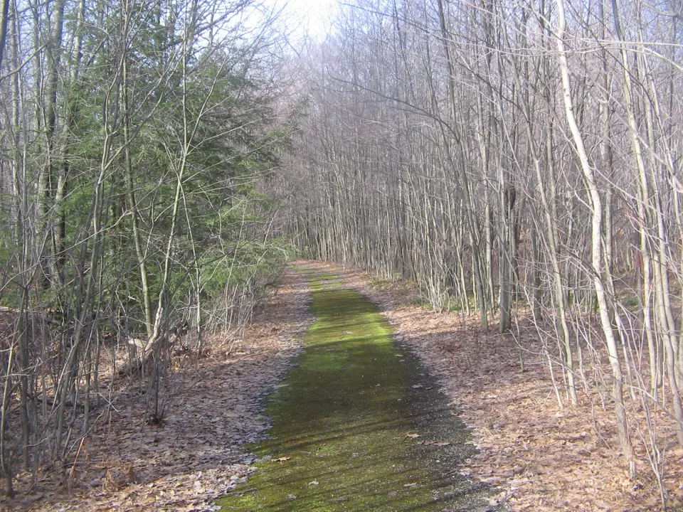 Cameron County