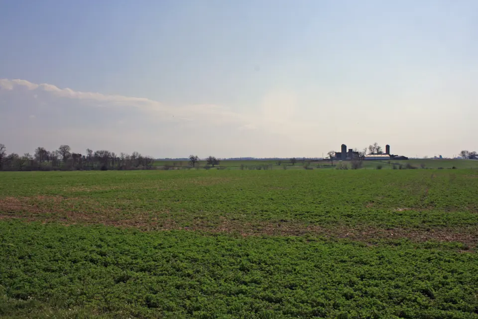 Kane County