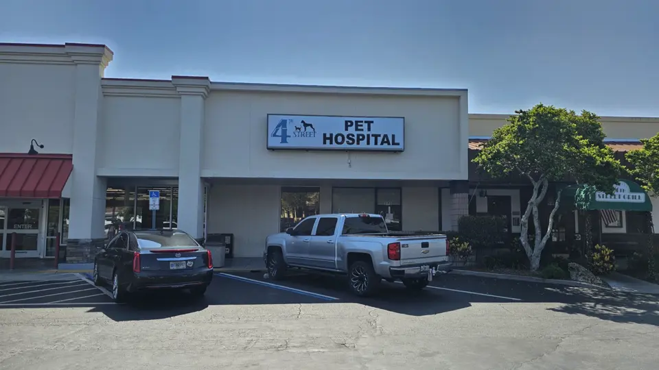 4th Street Pet Hospital