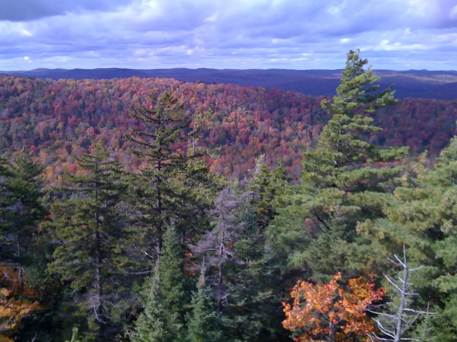 Old Forge