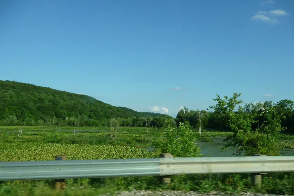 Wayne County