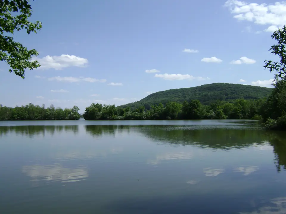 Bergen County