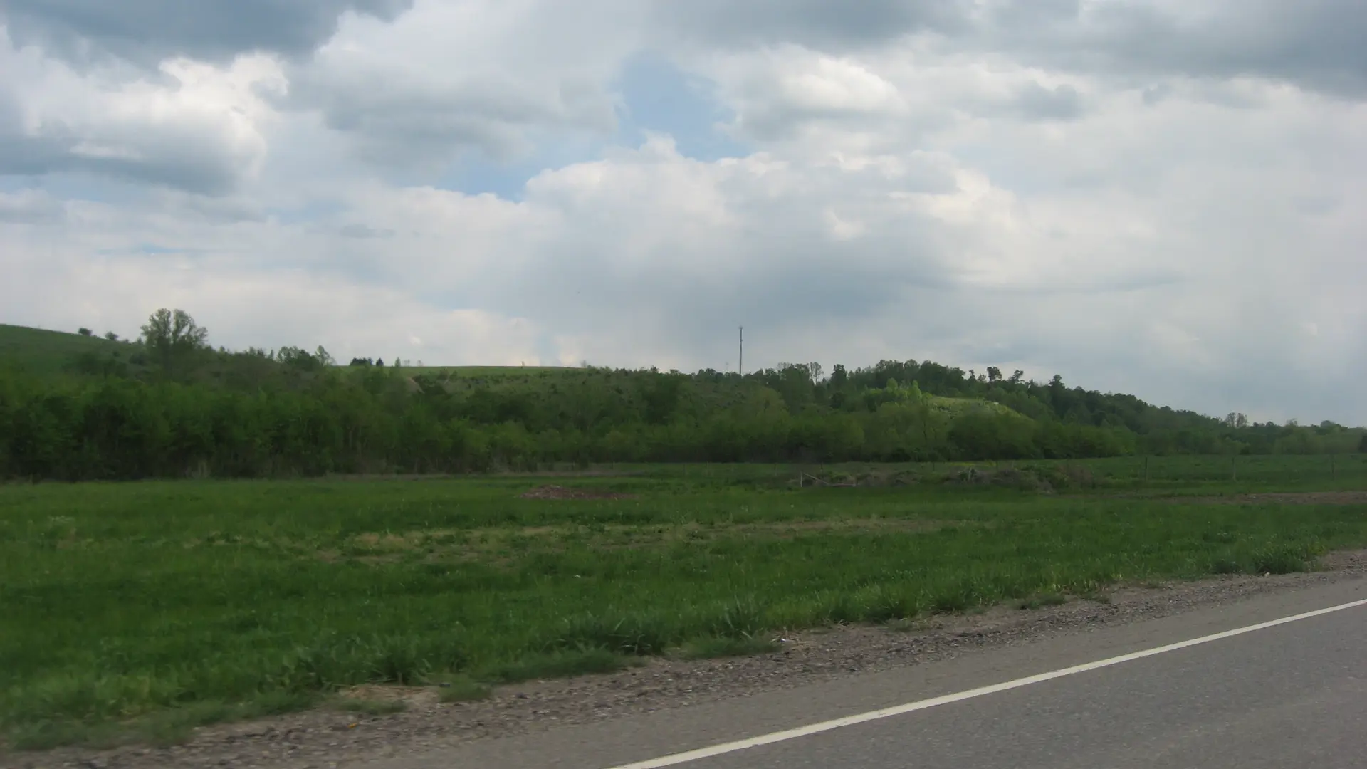 Bearfield