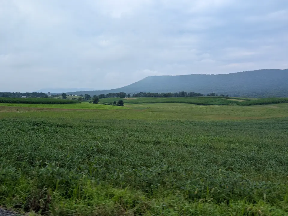 Cumberland County