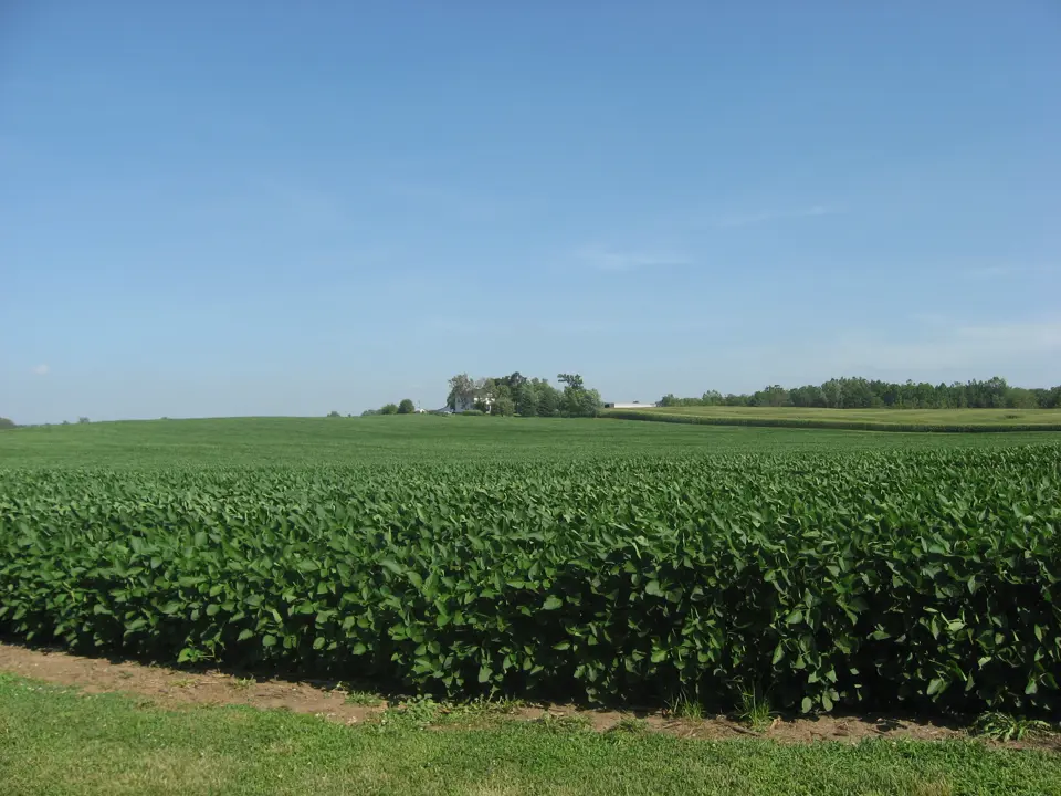 Logan County
