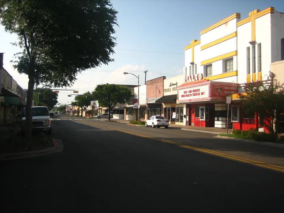 Bee County