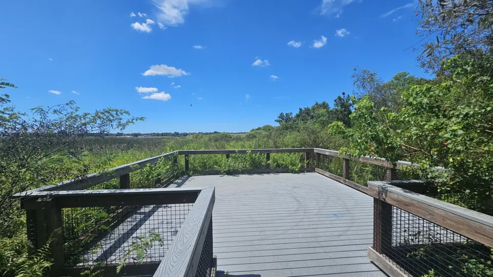 Wetland Observation Deck