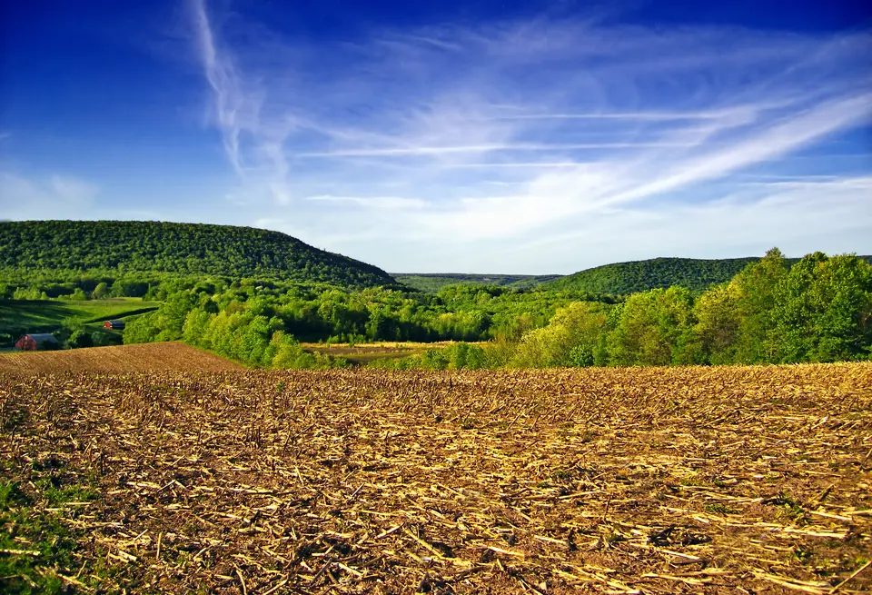 Schuylkill County