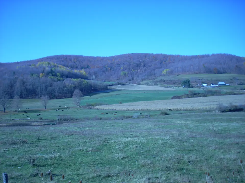 Tioga County