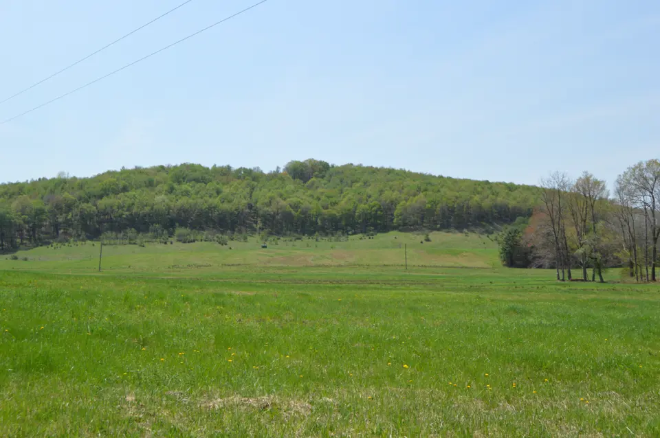 Indiana County