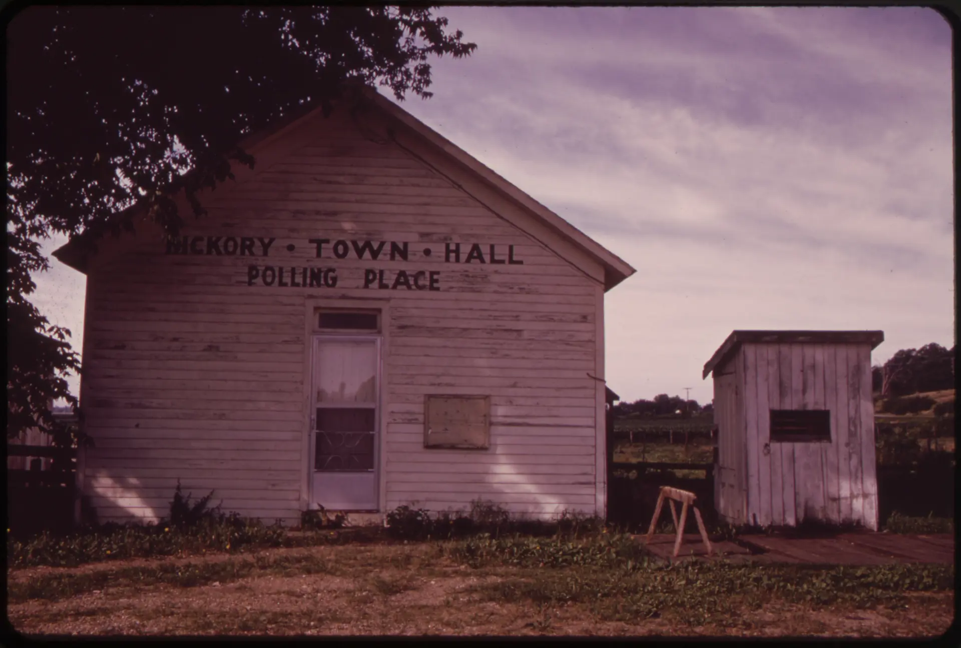 Hickory