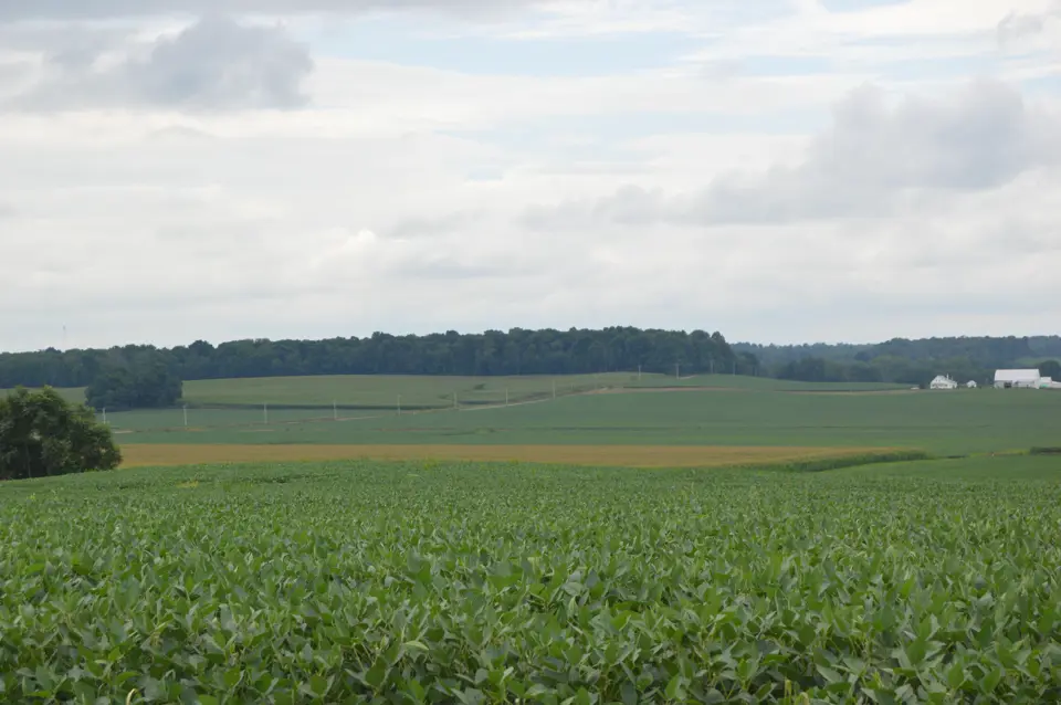 Knox County