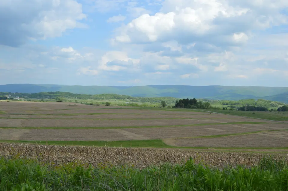 Fayette County