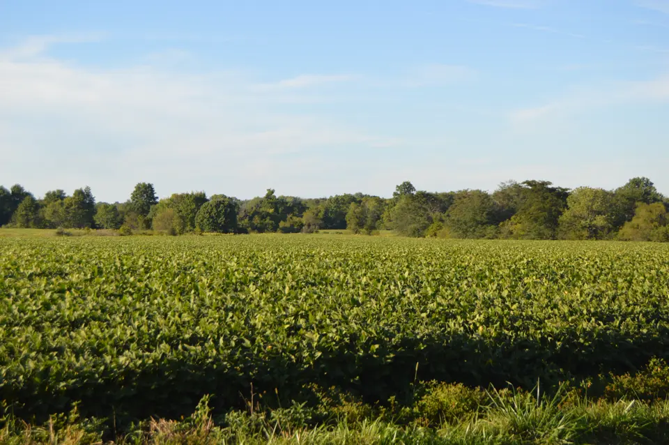 Warren County