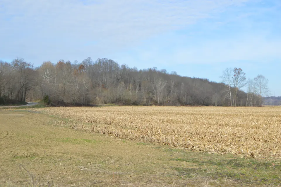 Muskingum County