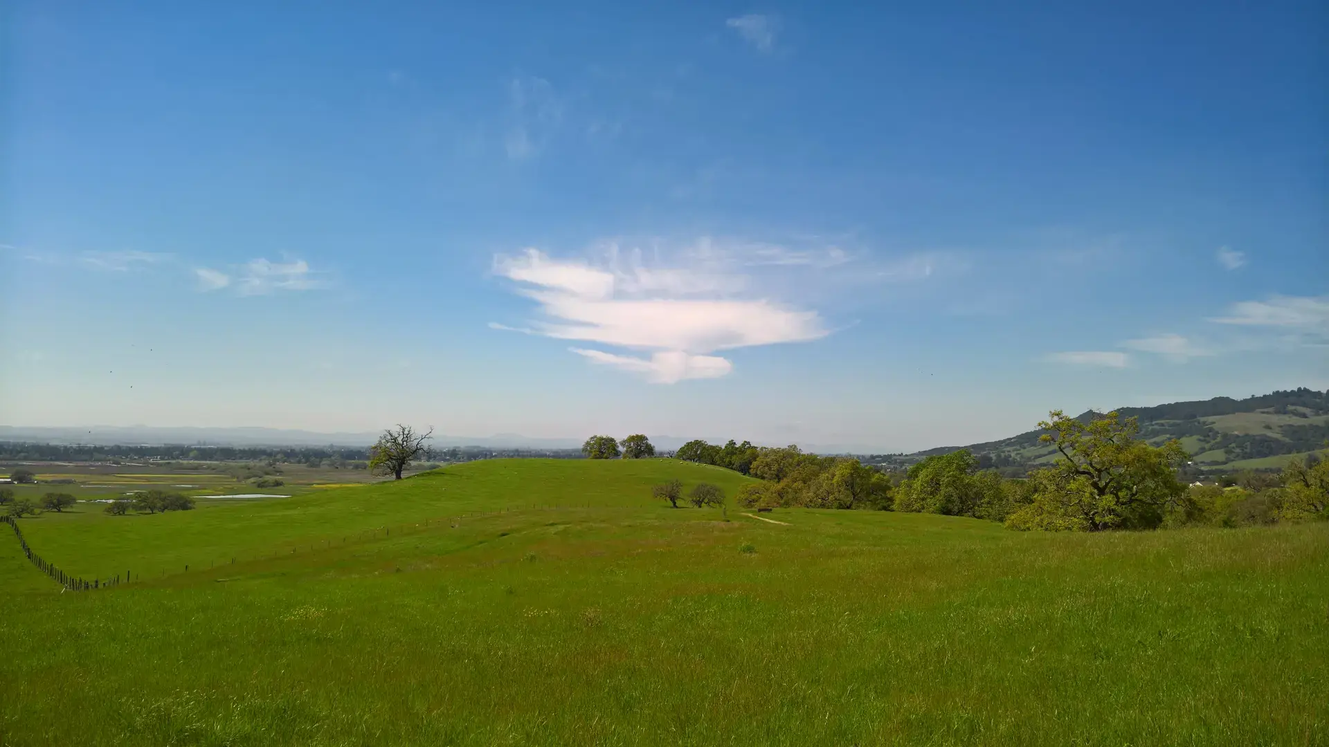 Santa Rosa
