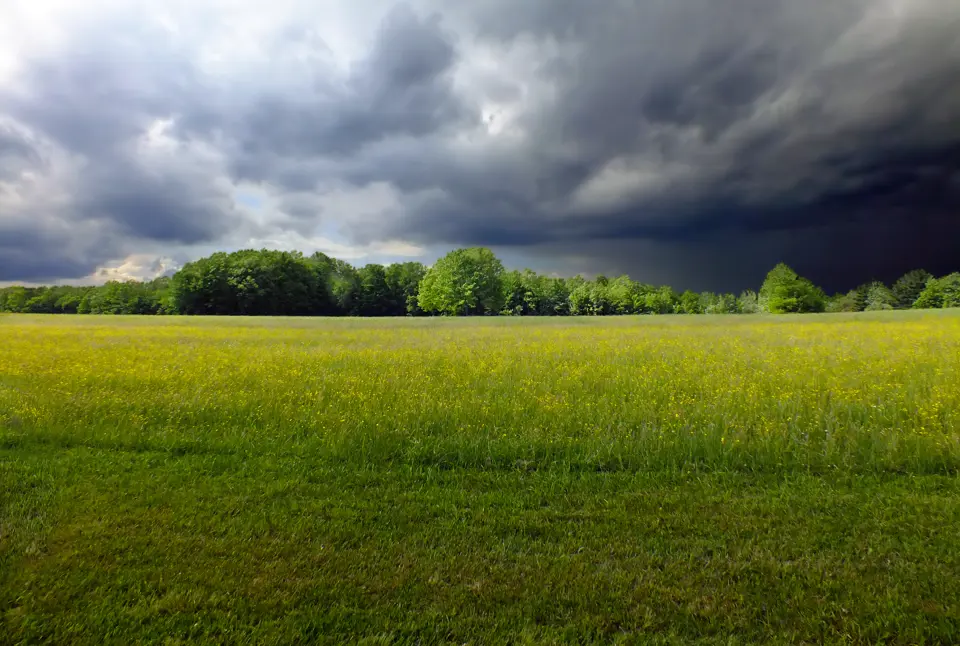 McKean County