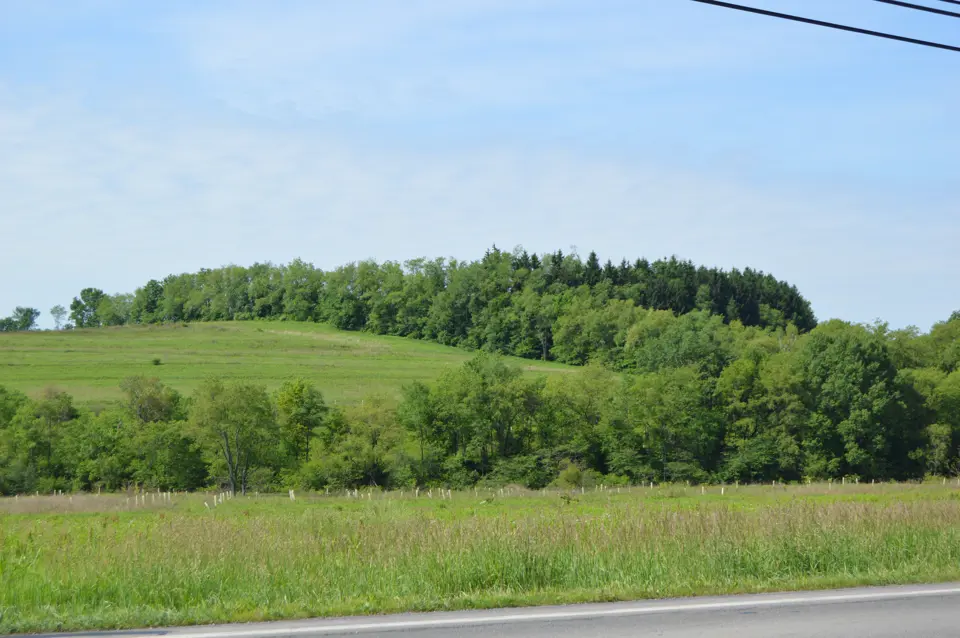 Clarion County