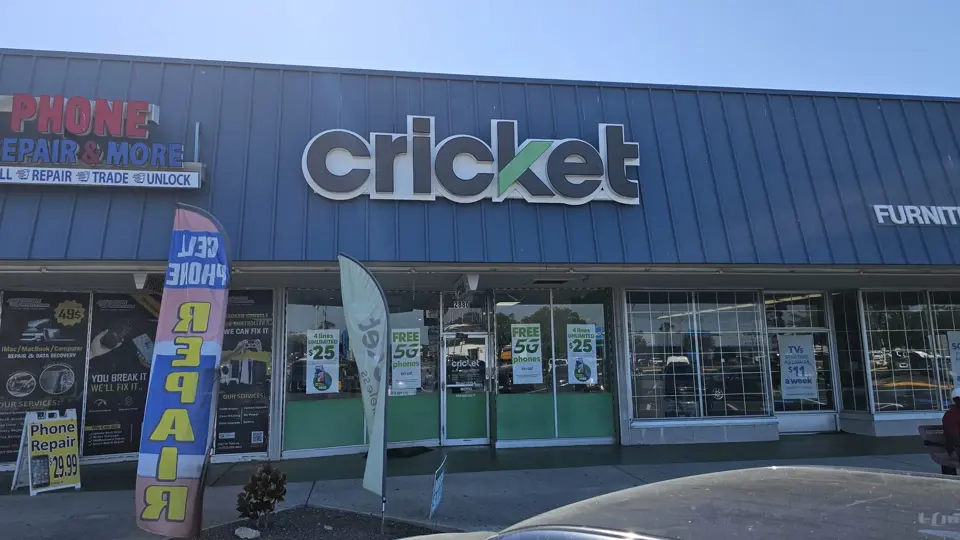Cricket