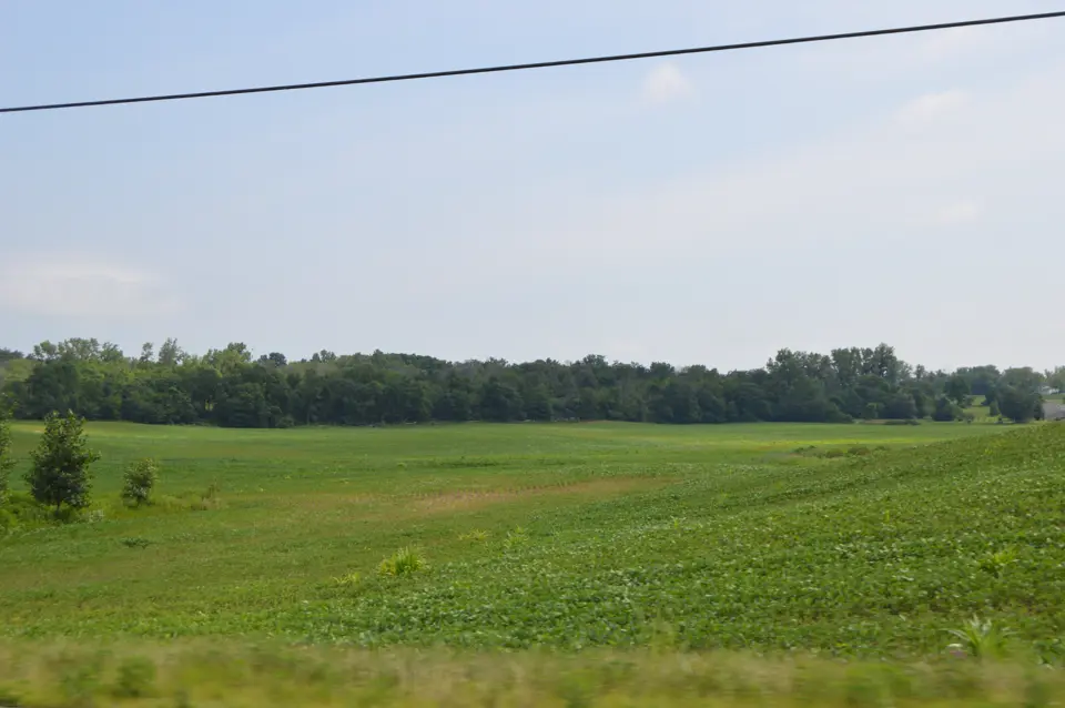Champaign County