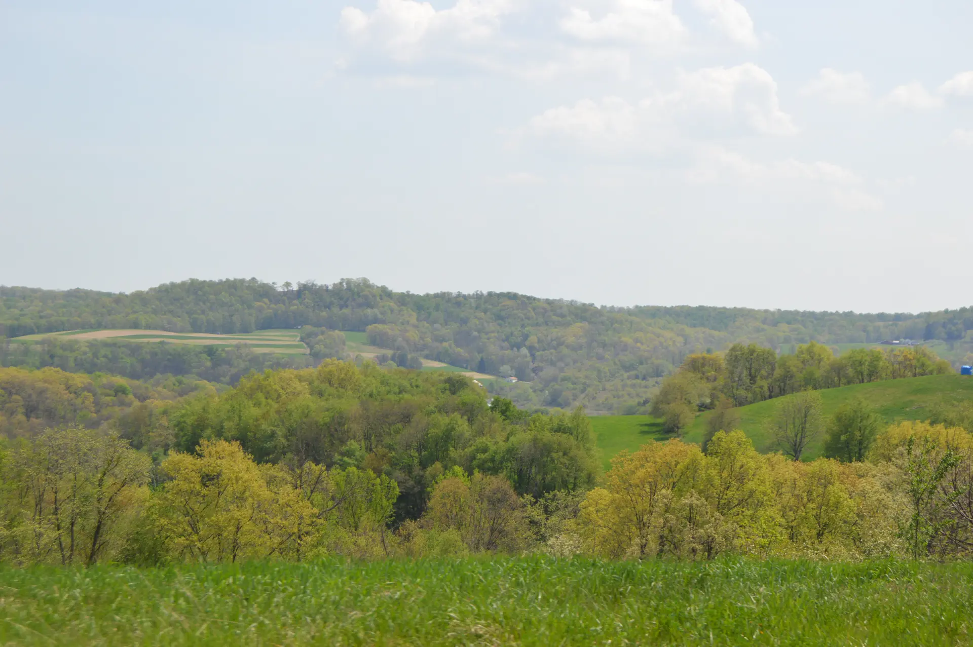 Cowanshannock