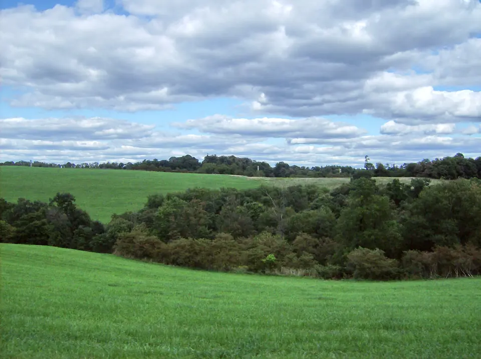 Carroll County