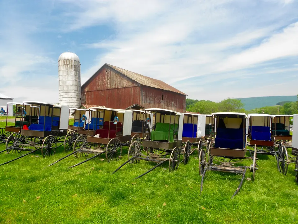 Snyder County