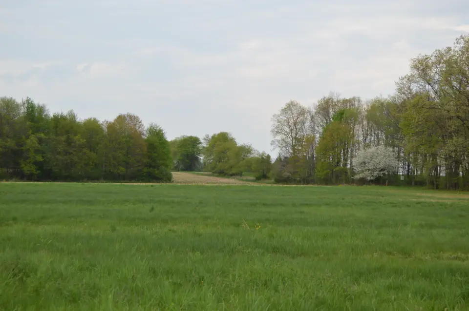 Butler County