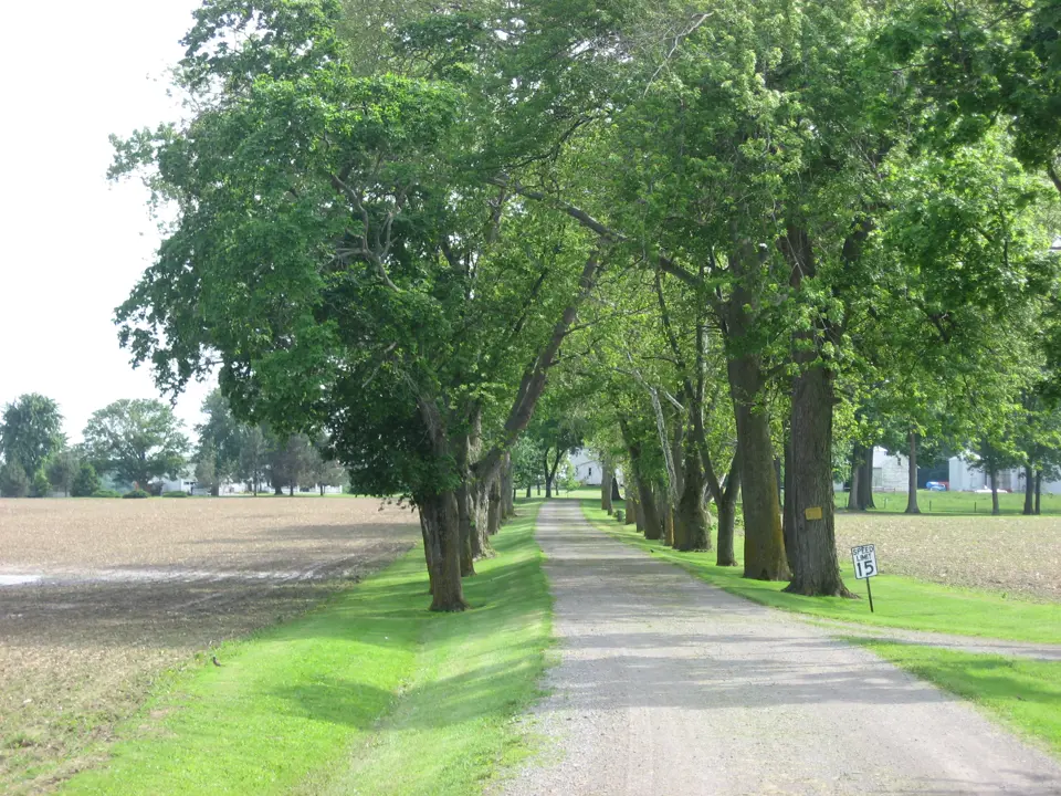 Marion County