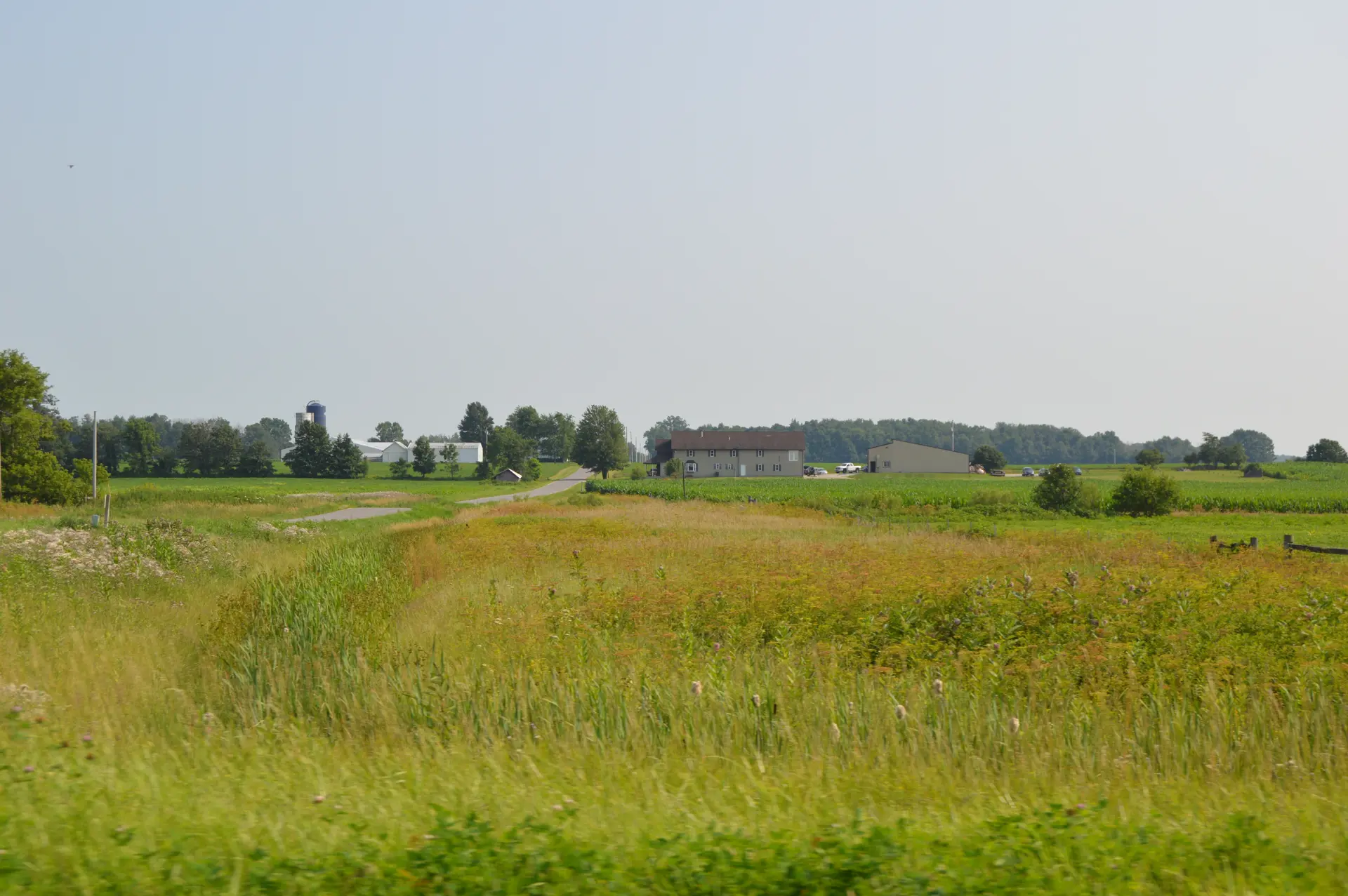 Ridge