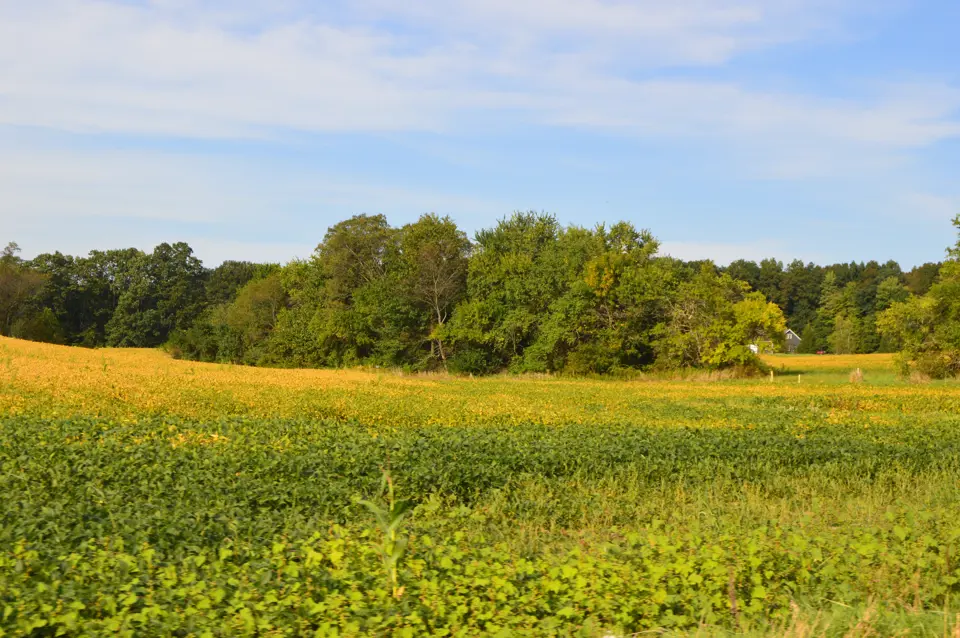 Mercer County
