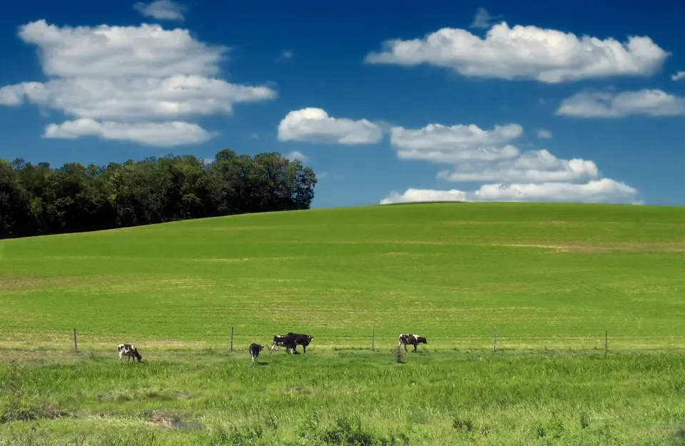 Lehigh County