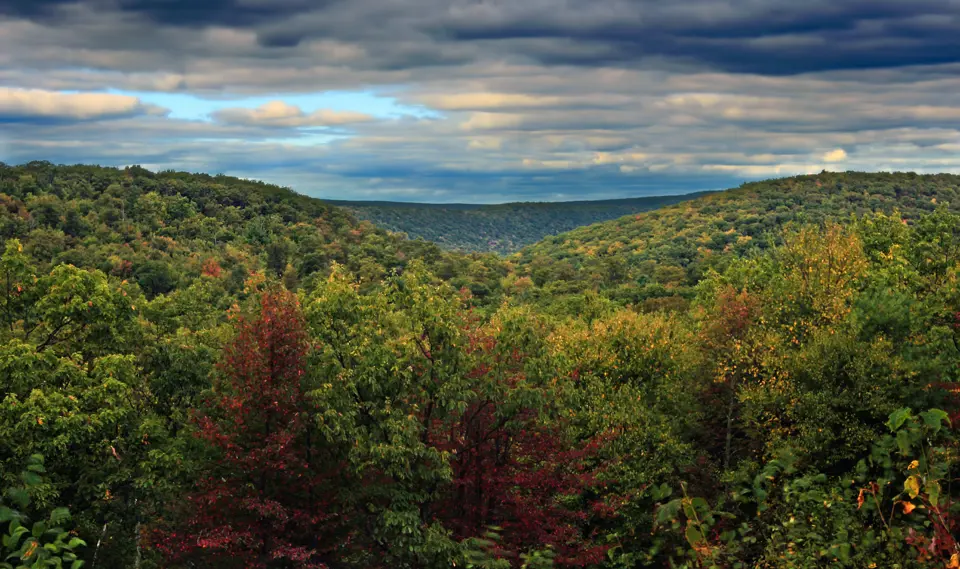 Union County