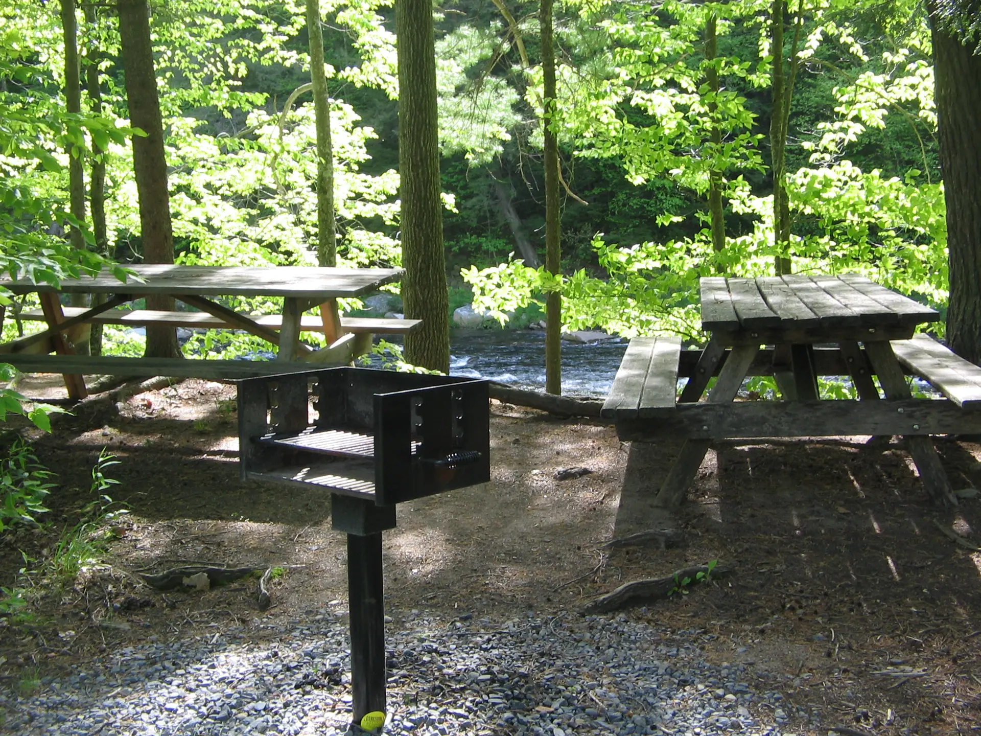 Forks