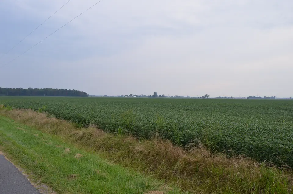 Wood County