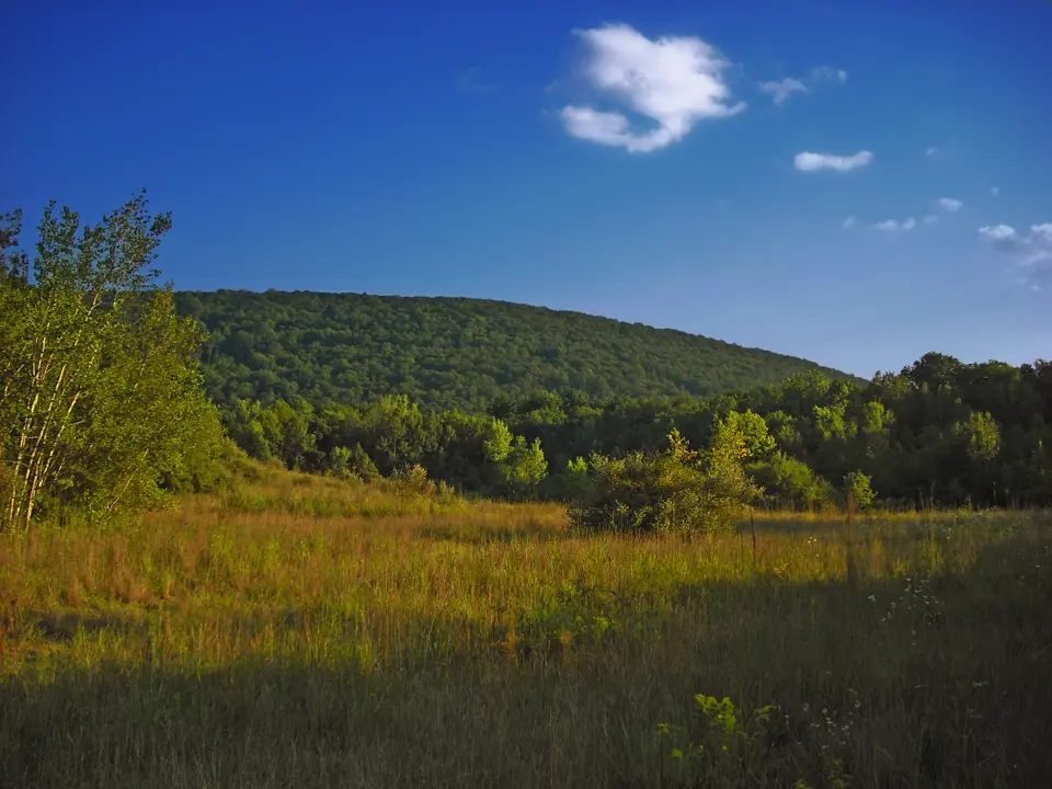 Luzerne County