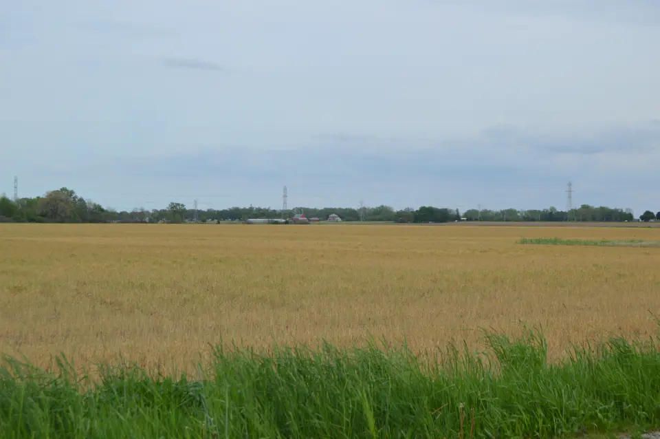Wood County